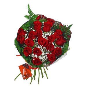 Ramo 17 Rosas Valentín con entrega en Jaén - Jaén